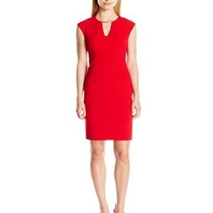 Calvin Klein Scarlet Mini Dress